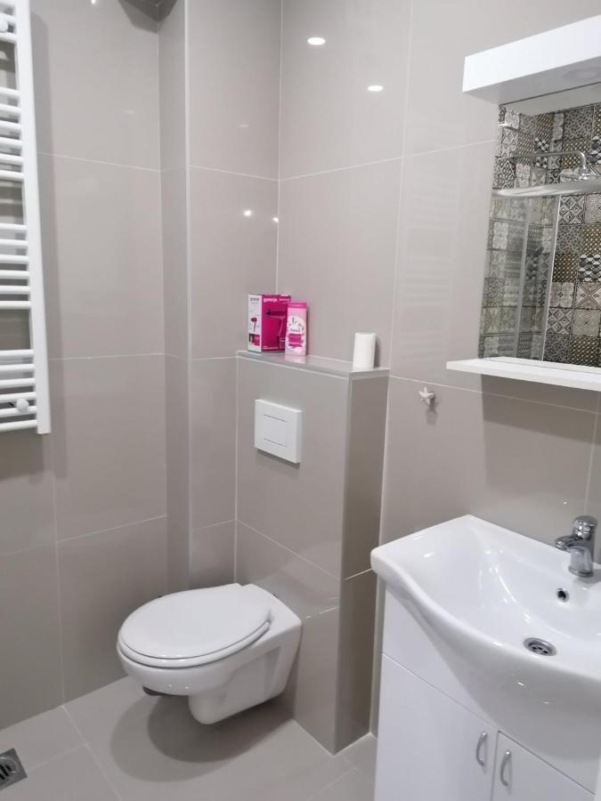 Apartman Mila, Banja Koviljaca Ngoại thất bức ảnh